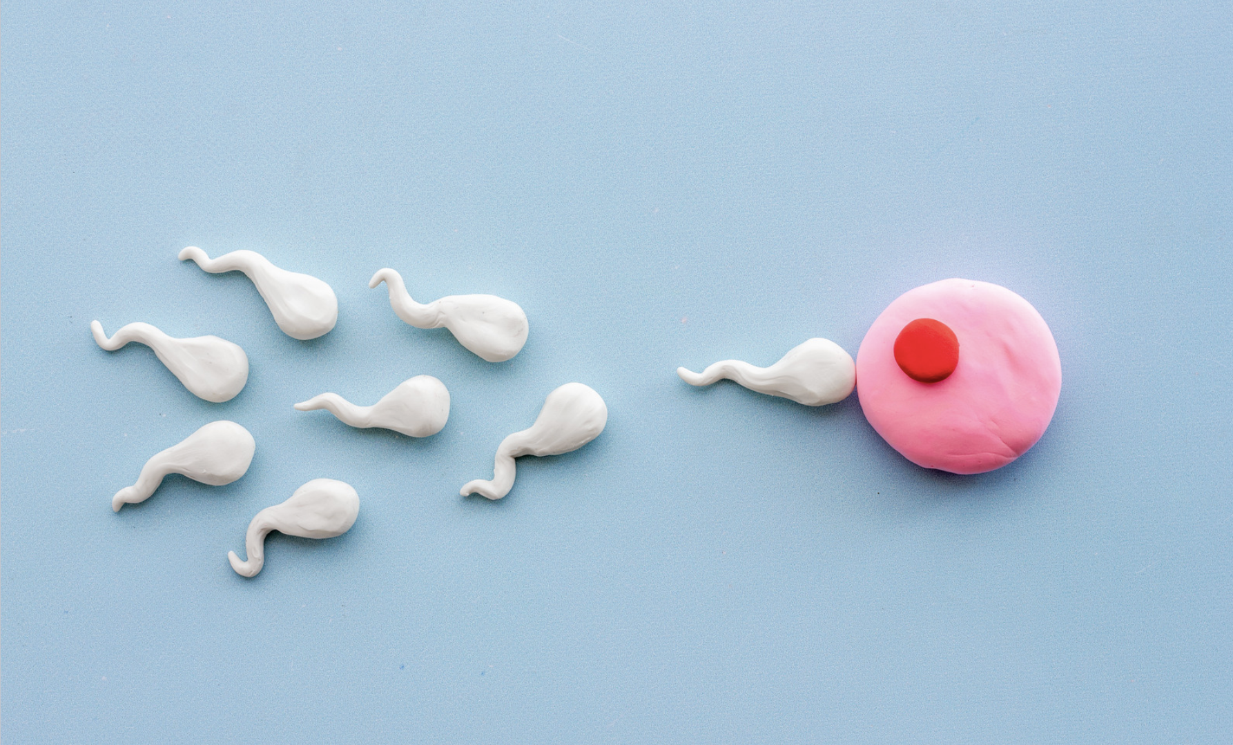 The Hidden Risks of Unregulated Sperm Donation